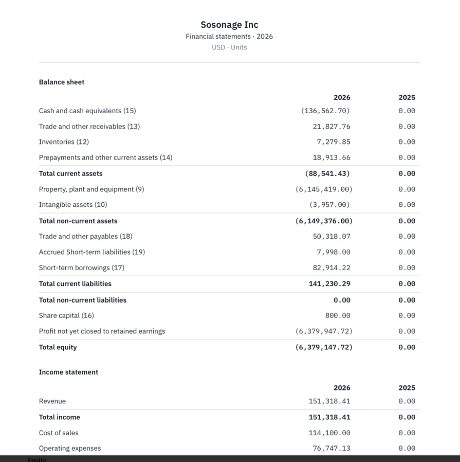 Actual Lunari balance sheet showing 2026 and 2025 balances, subtotals and linked note references